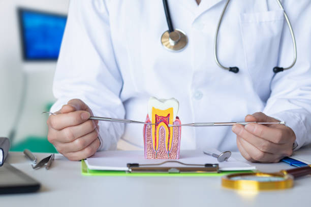 Best Emergency Root Canal Therapy in Shavertown, PA